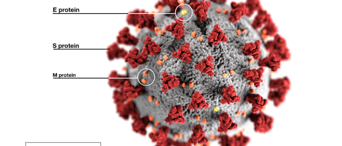 IMPACT OF COVID-19 IN INDIA: AN AWFUL HISTORY STILL IN THE MAKING