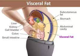 Beware Of The Visceral Fat!