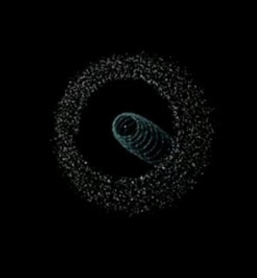 MYSTERY RESOLVED FOR THE GIANT SPIRAL LEAVES
