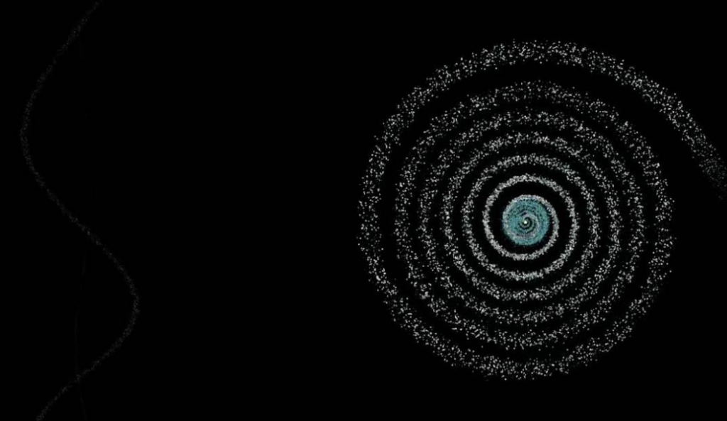 MYSTERY RESOLVED FOR THE GIANT SPIRAL LEAVES.