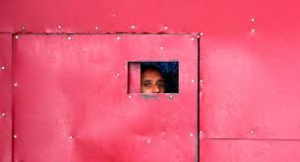 CRISIS OF MENTAL HEALTH FACILITIES IN KASHMIR: AN ANALYSIS OF CHALLENGES AND SOLUTIONS