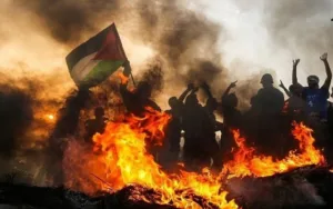 Casualties and Fatalities