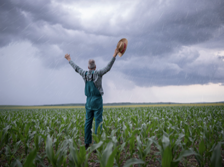 THE LATEST RAIN IS INCONCLUSIVE