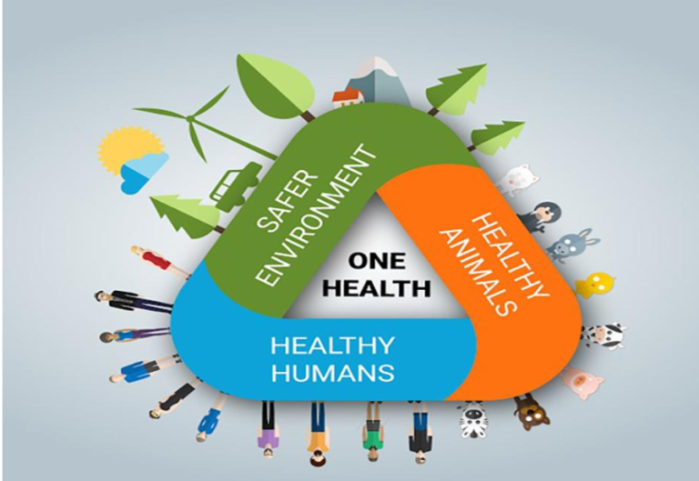 THROWING WASTAGE AT INAPPROPRIATE PLACE