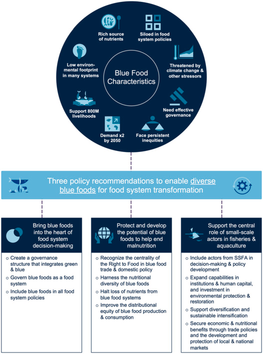 The Potential of Blue Foods in Addressing Global Issues