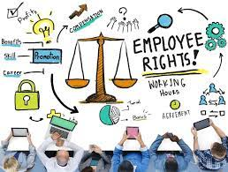 Understanding Human Rights: Labour Rights in Globalizing World And Gender Rights