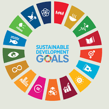 Exploring the Relationship among the Sustainable Development Goals and Human Rights