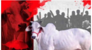 The Dark Side of Cow Vigilantism: Unveiling Human Rights Violations The Dark Side of Cow Vigilantism: Unveiling Human Rights Violations