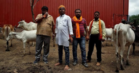 The Dark Side of Cow Vigilantism: Unveiling Human Rights Violations The Dark Side of Cow Vigilantism: Unveiling Human Rights Violations