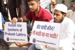 The Dark Side of Cow Vigilantism: Unveiling Human Rights Violations The Dark Side of Cow Vigilantism: Unveiling Human Rights Violations