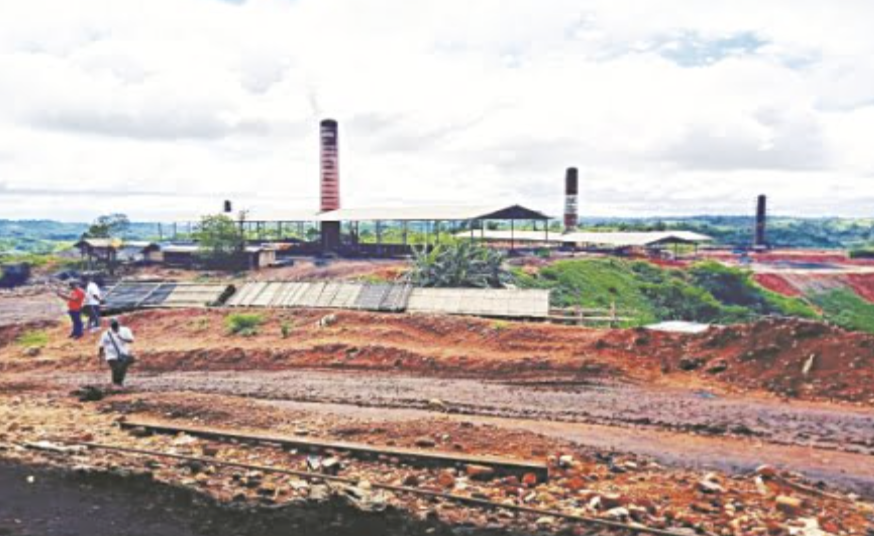 Illegal Coke Plants: Meghalaya High Court Directs DGP To File Action Taken Report