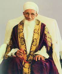 Syedna Muhammad Burhanuddin- A Pivotal Figure in India-Egypt Relations.
